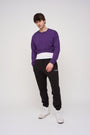 Cropped Sweatshirt · Orbit · Purple - STEWARDS - 1022-ACA-406-XS