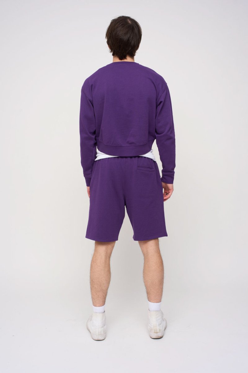 Athletic Short · Sport · Purple - STEWARDS - 1016-ACA-401-LG